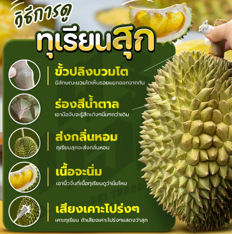 5d978290538b4e9a92a7a5bb35a723c5.png