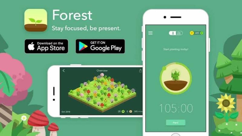 Forest