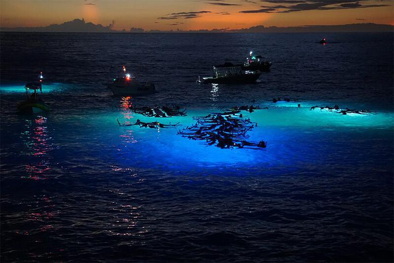 夏威夷科纳，一群船只在夜间公海上向海洋照射灯光，以观察海洋生物